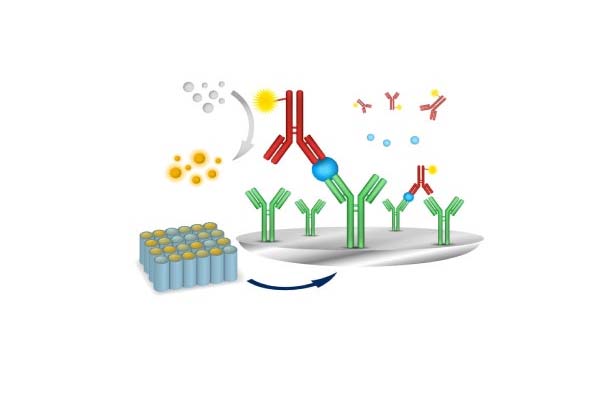 化学発光検査の理解: 応用と重要性